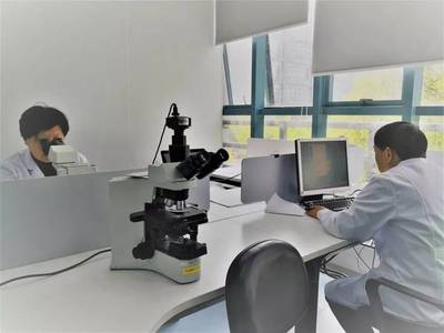 上海公司專業(yè)健康體檢與檢驗科服務，守護您的健康生活